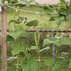 Hortonova Trellis Netting, 6-1/2 Feet X 3,280 Feet 34 Hortonova Trellis Netting, 6-1/2 Feet X 3,280 Feet -Gardening Shop htn63280 14