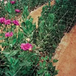 Hortonova Trellis Netting, 6-1/2 Feet X 3,280 Feet 35 Hortonova Trellis Netting, 6-1/2 Feet X 3,280 Feet -Gardening Shop htn63280 15