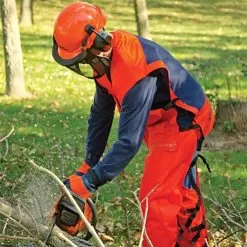 Chainsaw ProVest 2 -Gardening Shop je70 2 2