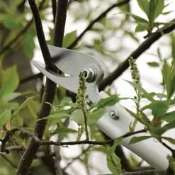 ARS LongReach Pruner 6ft Fixed Length Super Light Razor Edge -Gardening Shop lrp6 3 1