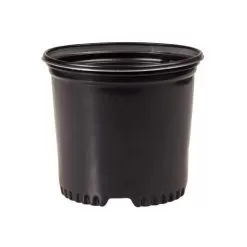 NSI Pressure Formed Container Trade True 1