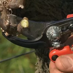 Bahco; Professional Ergonomic Pruners, 1.25-inch Cutting Capacity -Gardening Shop pxl3 5