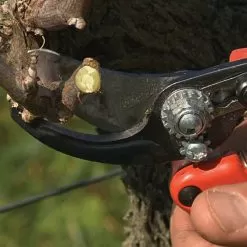 Bahco Professional Ergonomic Pruners, 0.75-inch Cutting Capacity -Gardening Shop pxm2 5