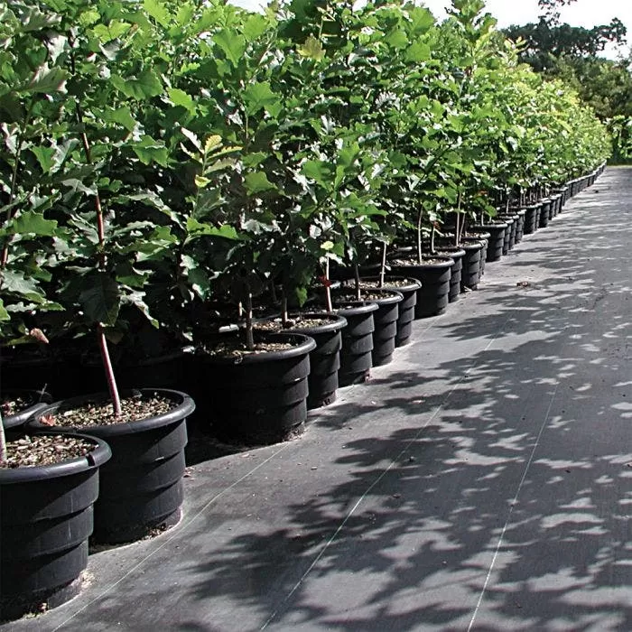 Root Maker Injection Molded 3 Gallon Container, Case Of 15 2 Root Maker Injection Molded 3 Gallon Container, Case Of 15 - Image 2