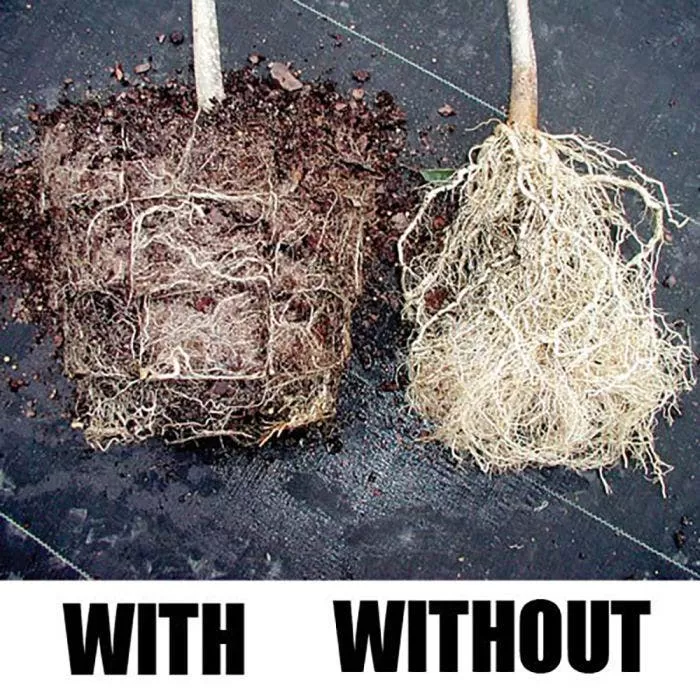 Root Maker Injection Molded 3 Gallon Container, Case Of 15 3 Root Maker Injection Molded 3 Gallon Container, Case Of 15 - Image 3