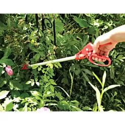ARS LongReach Rose Pruner Fixed 2ft Cut & Hold -Gardening Shop rp150 3