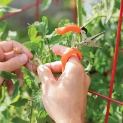 Hands-Free Ring Pruner 9 Hands-Free Ring Pruner -Gardening Shop rp2 3
