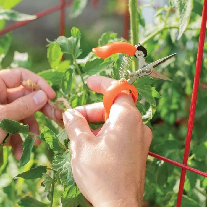 Hands-Free Ring Pruner 3 Hands-Free Ring Pruner - Image 3