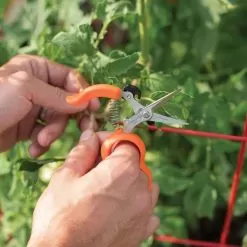 Hands-Free Ring Pruner 11 Hands-Free Ring Pruner -Gardening Shop rp2 5