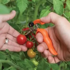 Hands-Free Ring Pruner 12 Hands-Free Ring Pruner -Gardening Shop rp2 6