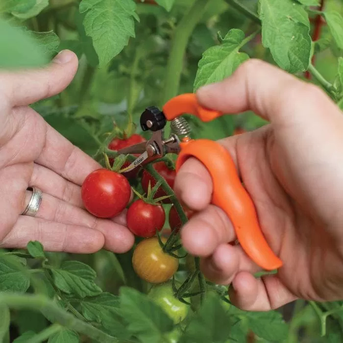 Hands-Free Ring Pruner 6 Hands-Free Ring Pruner - Image 6