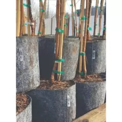 Charcoal Line Root Pouch Bales, 12-18 Months, 3 Gallon -Gardening Shop rp318 stacked 1 1