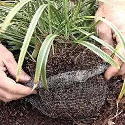 Vole King 1-Gallon Plant Baskets, Pack Of 4 7 Vole King 1-Gallon Plant Baskets, Pack Of 4 -Gardening Shop vk1g 3