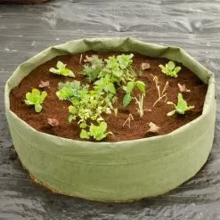 Root Pouch Non Degradable Mega Grow Bag Raised Bed -Gardening Shop vp boxerbed 4