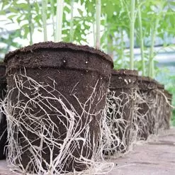 CowPots Biodegradable Pots -Gardening Shop vp cp 2