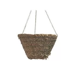 Braun Moss-Lined Hanging Basket