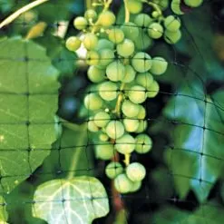 No Tangle Heavy Duty Bird Netting -Gardening Shop vp hdn 2