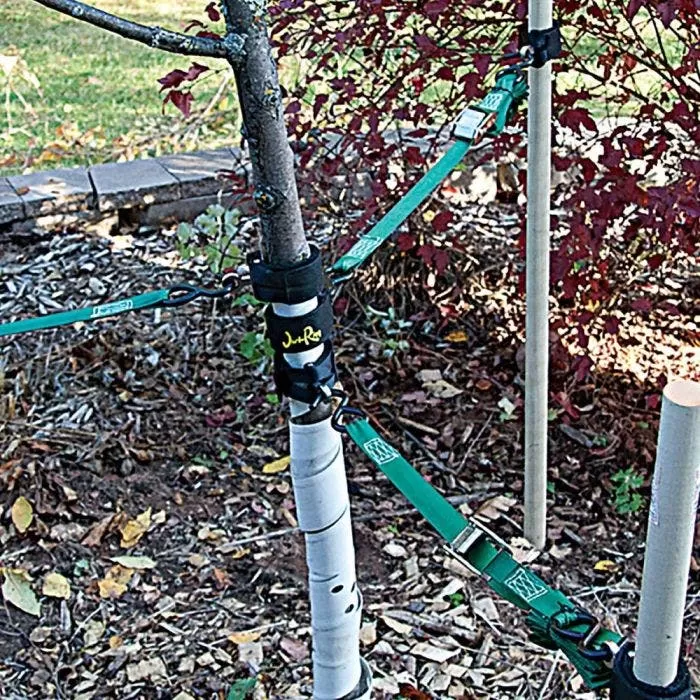 Eye Loop Style Jeri Rigg Two Packs 2 Eye Loop Style Jeri Rigg Two Packs - Image 2