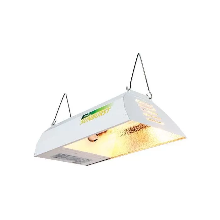 Mini Sunburst MH With Lamp 1 Mini Sunburst MH With Lamp