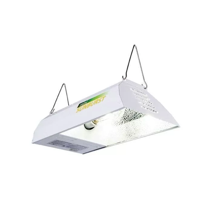 Mini Sunburst MH With Lamp 2 Mini Sunburst MH With Lamp - Image 2