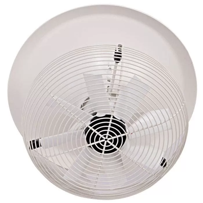 V FloFans 3 V FloFans - Image 3