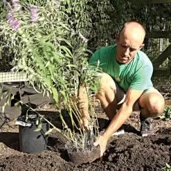 Vole King Plant Baskets -Gardening Shop vp vkbasket 7