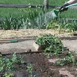 Biodegradable Paper Mulch, 3 Feet X 250 Feet -Gardening Shop wg36250f 5