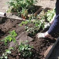 Biodegradable Paper Mulch, 4 Feet By 500 Feet 11 Biodegradable Paper Mulch, 4 Feet By 500 Feet -Gardening Shop wg48500f 2