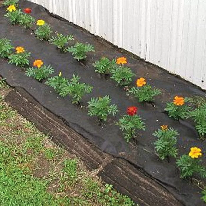 Biodegradable Paper Mulch, 4 Feet By 500 Feet 7 Biodegradable Paper Mulch, 4 Feet By 500 Feet - Image 7