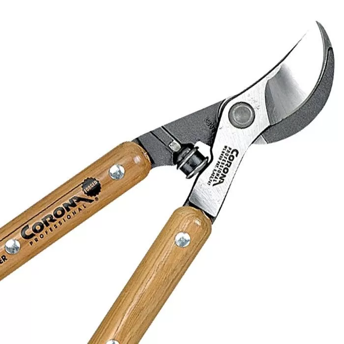 Corona Forged Classic Cut Bypass Lopper, 32in, 2.25-inch Cutting Capacity 2 Corona Forged Classic Cut Bypass Lopper, 32in, 2.25-inch Cutting Capacity - Image 2