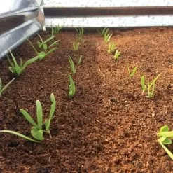 Wonder Soil Expand & Plant Organic Planting Mix, 2.5 Cu. Ft. -Gardening Shop wsepoc25 2