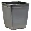 Landmark 4.5-in Square Pot Deep, Case Of 375