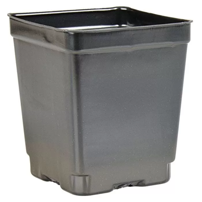 Landmark 4.5-in Square Pot Deep, Case Of 375 1 Landmark 4.5-in Square Pot Deep, Case Of 375