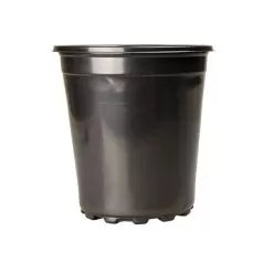 Landmark Plastics 8.5-in Trade 2 Gallon Pot, Case Of 100