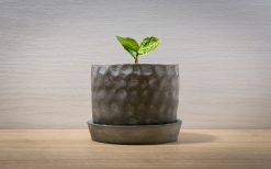 Gardening Shop -Gardening Shop mark cutting line 2390065 1280