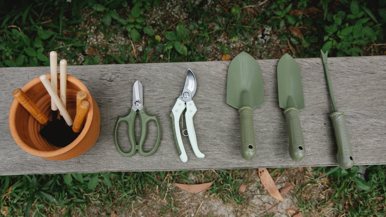 Gardening Shop -Gardening Shop pexels gary barnes 6231726